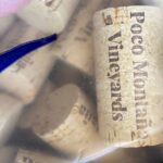 Poco Montana Vineyards 5.jpg