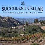 SucculentCellar_view.jpg