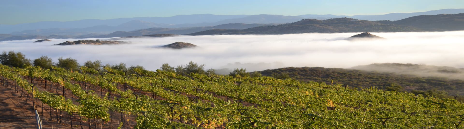 April 6th & 7th – 2019 Meet the Winemaker Weekend