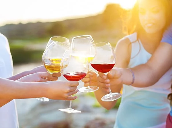 Summer Wine Essentials Tasting Programme