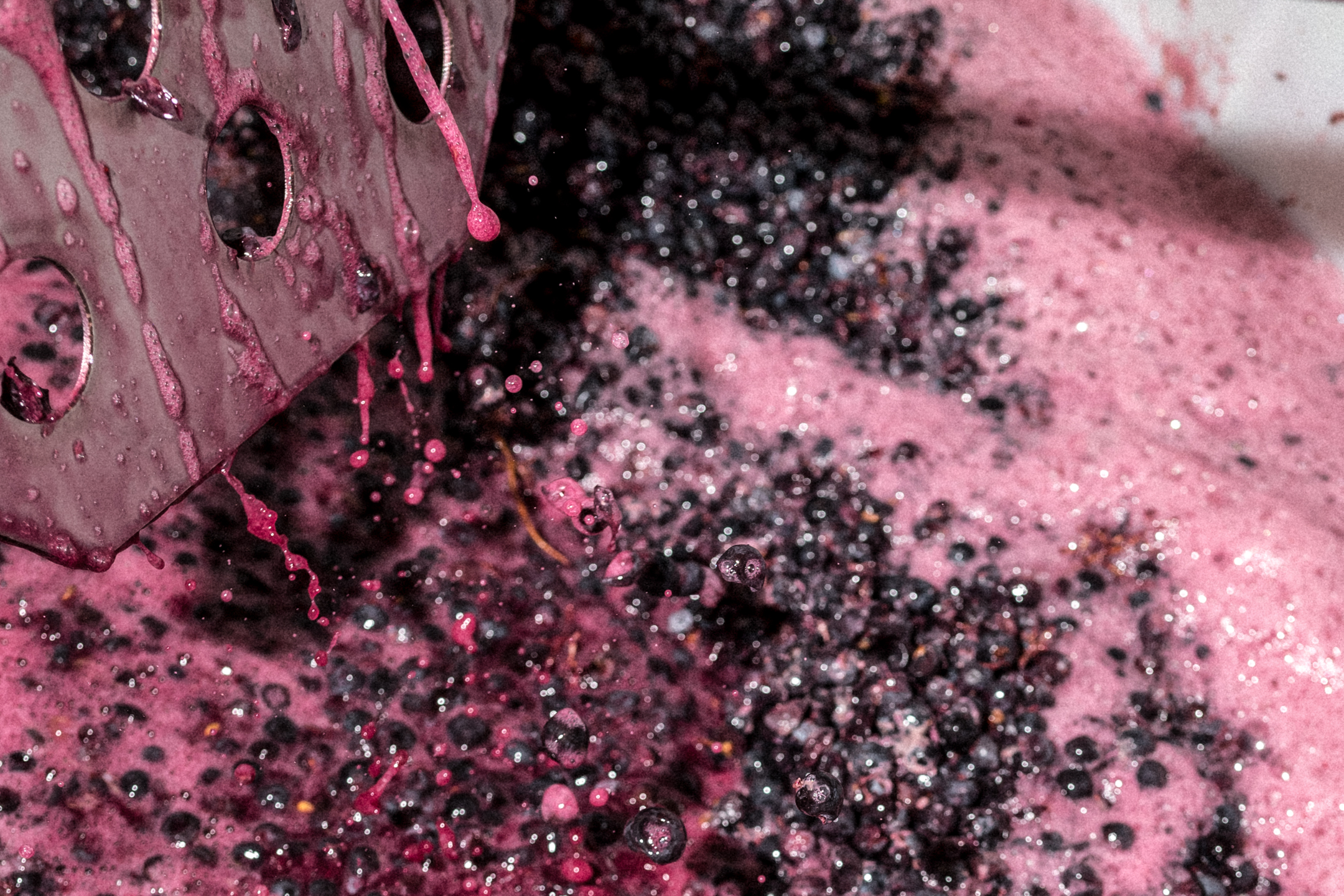 674e3eefea9edc4fd8d78cf5 674e3c2007f2a17d693d9a9c Edible RRW 10.24 75 WEB