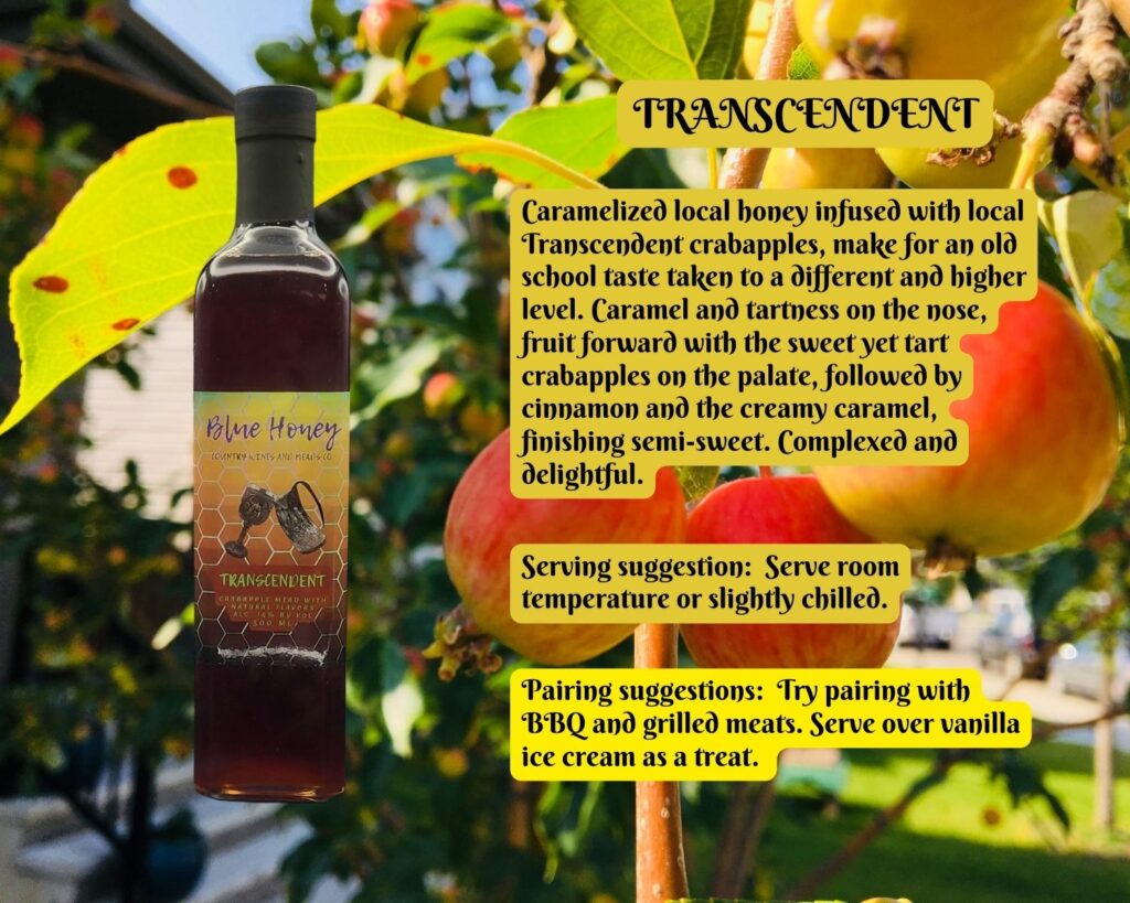 85bb2c556cf59a279052151821a7cf06