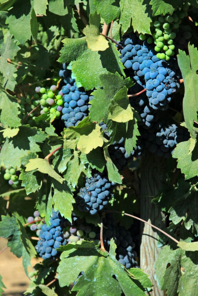 998b4baab380a4912013f0c6d45f4c2e