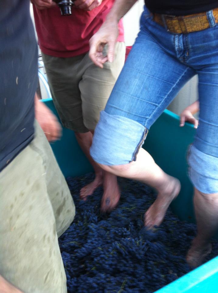 d11a78c6a39d7f9c848e44fa63a07d1f