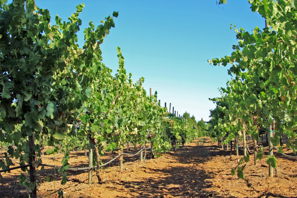 f23b5ba0f36ff74cc04e31c7af07dd62