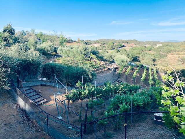 l 02cc4f4d5435ebc211f5fae697b8e62e