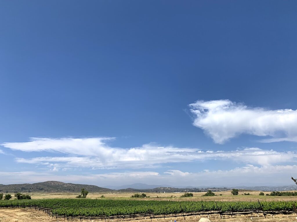 l 48dcbbb623dec59a504dc97464b6c687