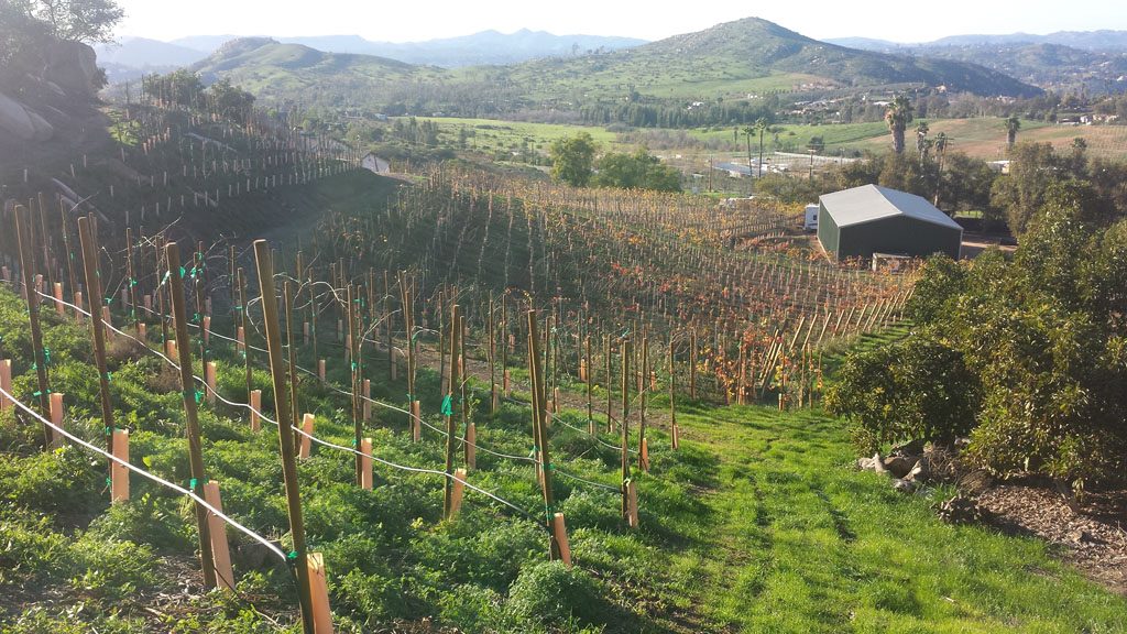 l b4f0112592087a3a99efff058f9dc5af