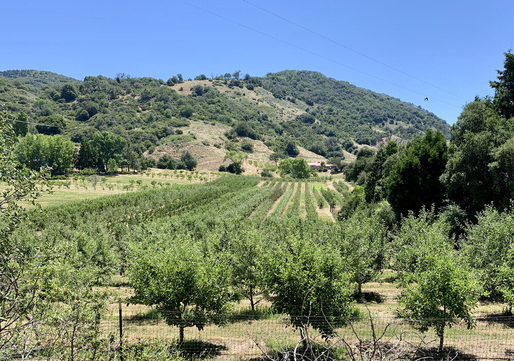 l da4d221d703deb88ceebccf6f881fd11