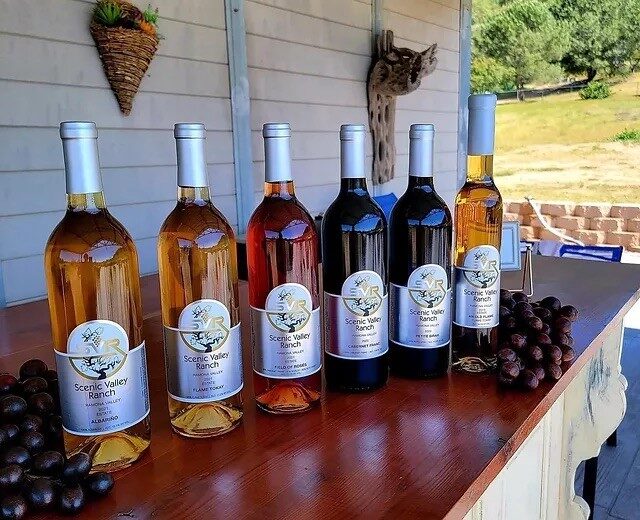 l f2dfd085260656b3cc09596ea237bd6c