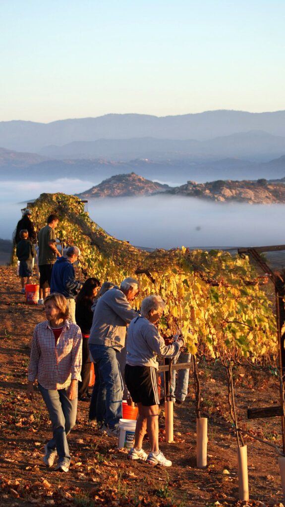 4a8efd85a25edf91dd0d65d0f5affa4d