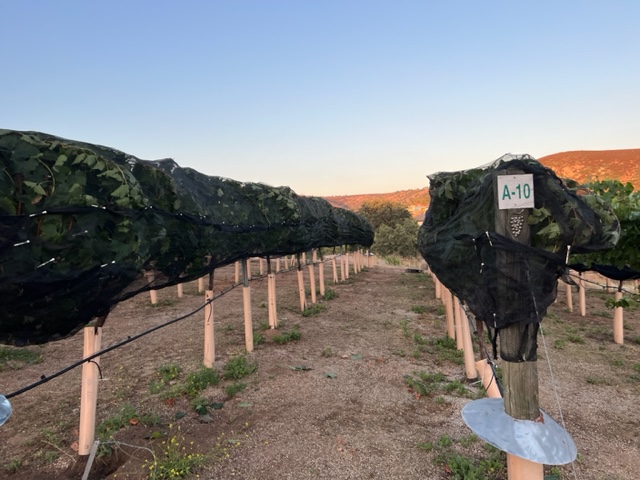 5ae2b9a5c3faac535d91bd8899af815a