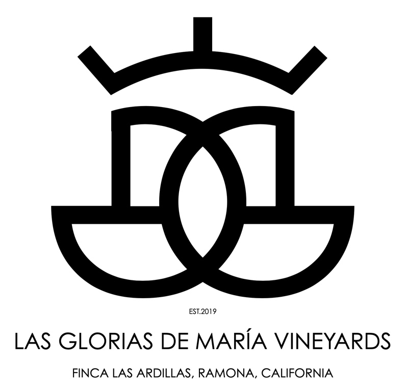 6f7c98c11a43fcd99a776c0eb2a7c77f