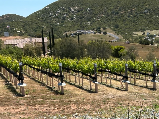 8020c3bb8faf7672e4555d9e039024b3