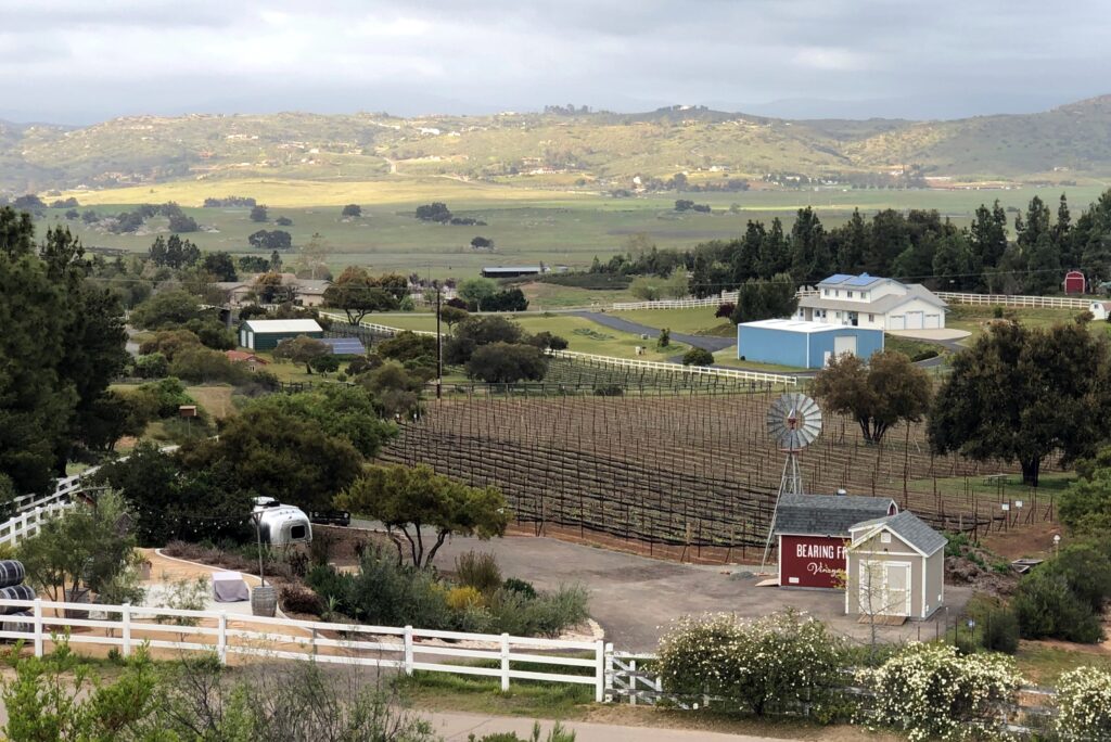 8a2436ff2ac9d1f3c36bb64b53bbeb05