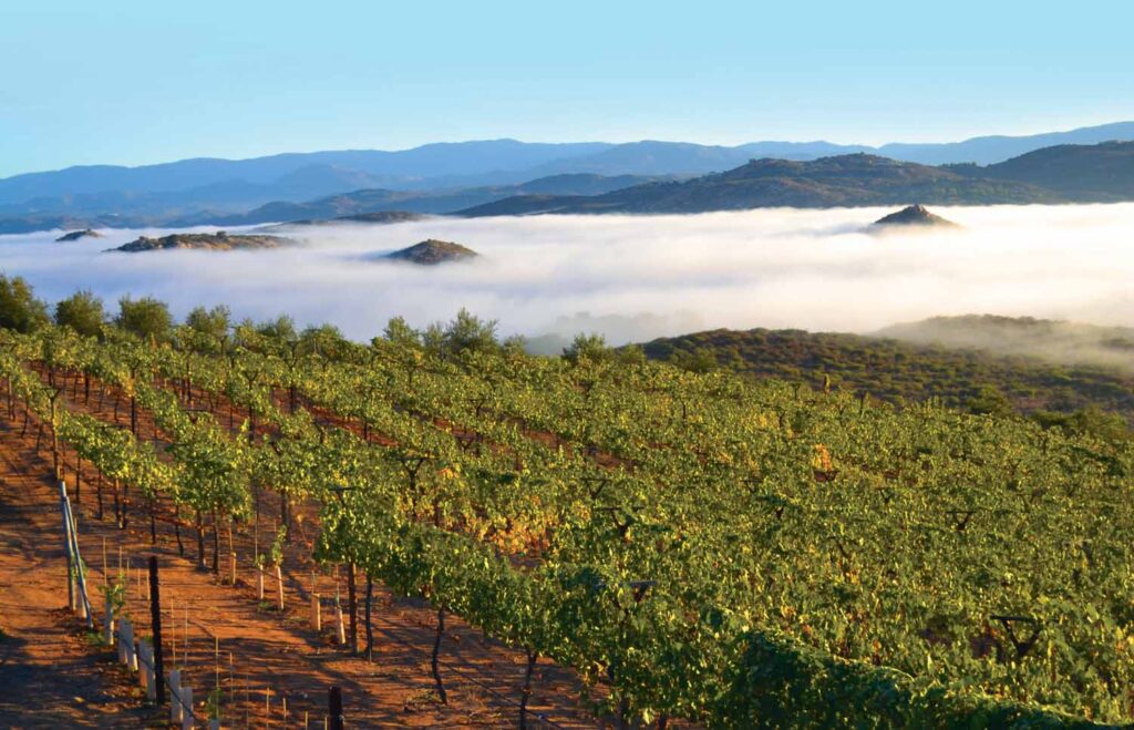 8fc3c4c172d5d190966c653f04f79ef1