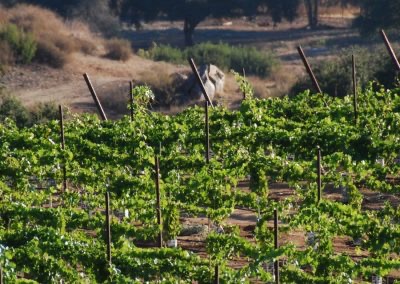 a005a0326b0feed21105c5483350a880