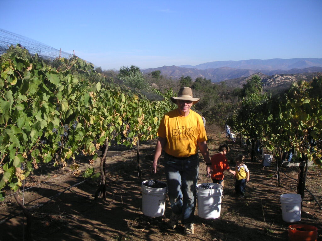 ad34d5d40c6a9cd5818f9e2befa15990