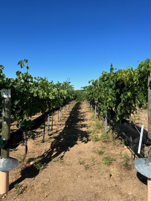 e7135dd4485c1443b757444744db44f0