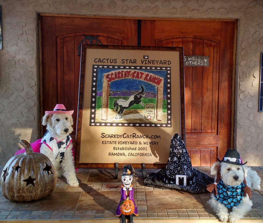 fffcc16879bbcaeaa6c909ab0e227f33