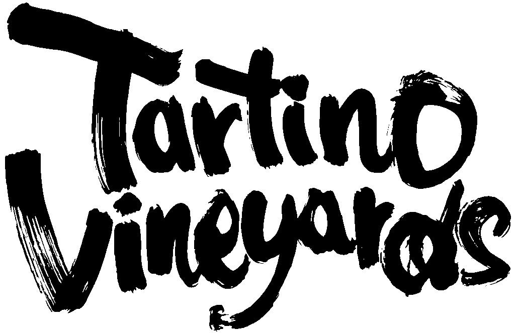 20211008 TartinoVineyards l
