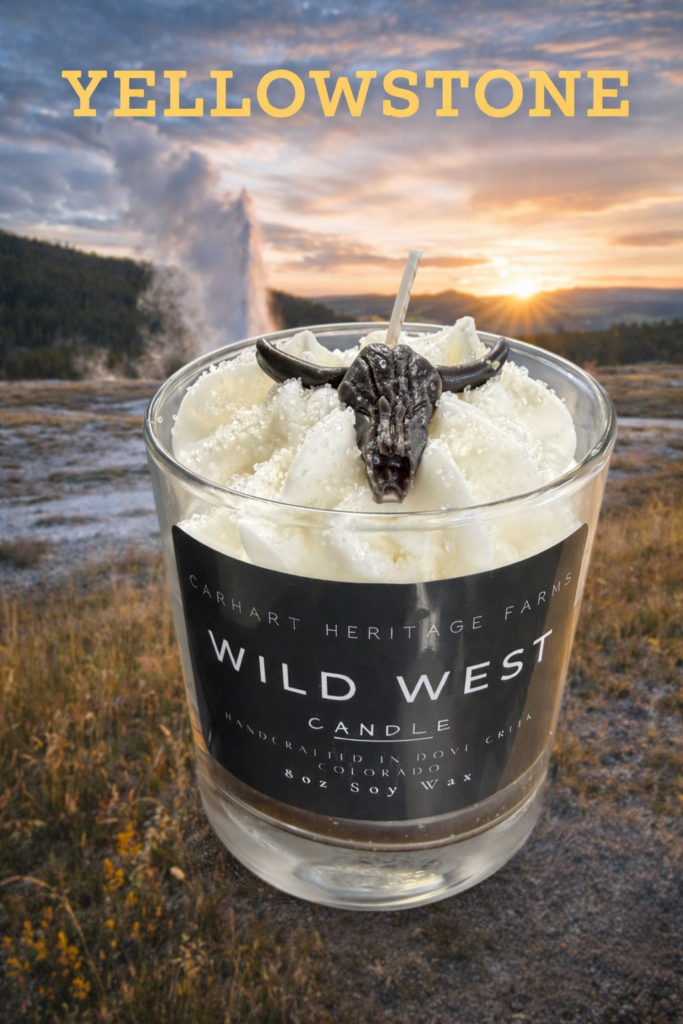 91CCF1AA 53A5 4944 AC74 59919F452756